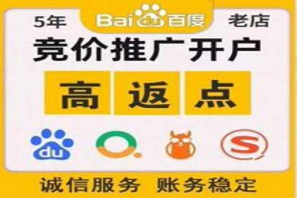 某品牌通过SEM关键词实现品牌推广的实战案例
